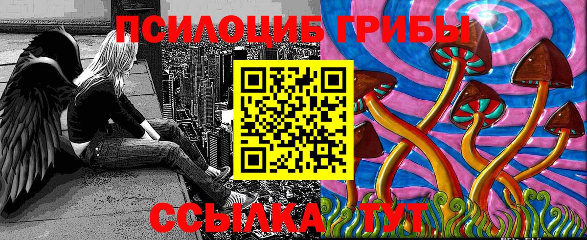 Ступино  Псилоцибиновые грибы Psilocybe  Вход с VPN 